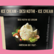 American Dry Fruit Ice Cream